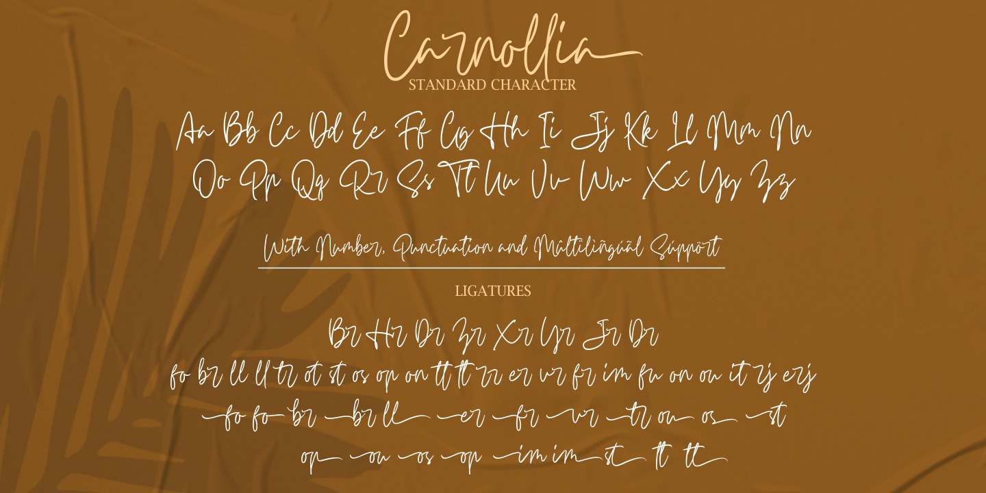 Example font Carnollia Signature #4